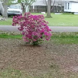 Meet your Posher, Marie